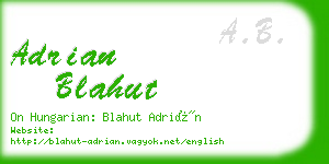 adrian blahut business card